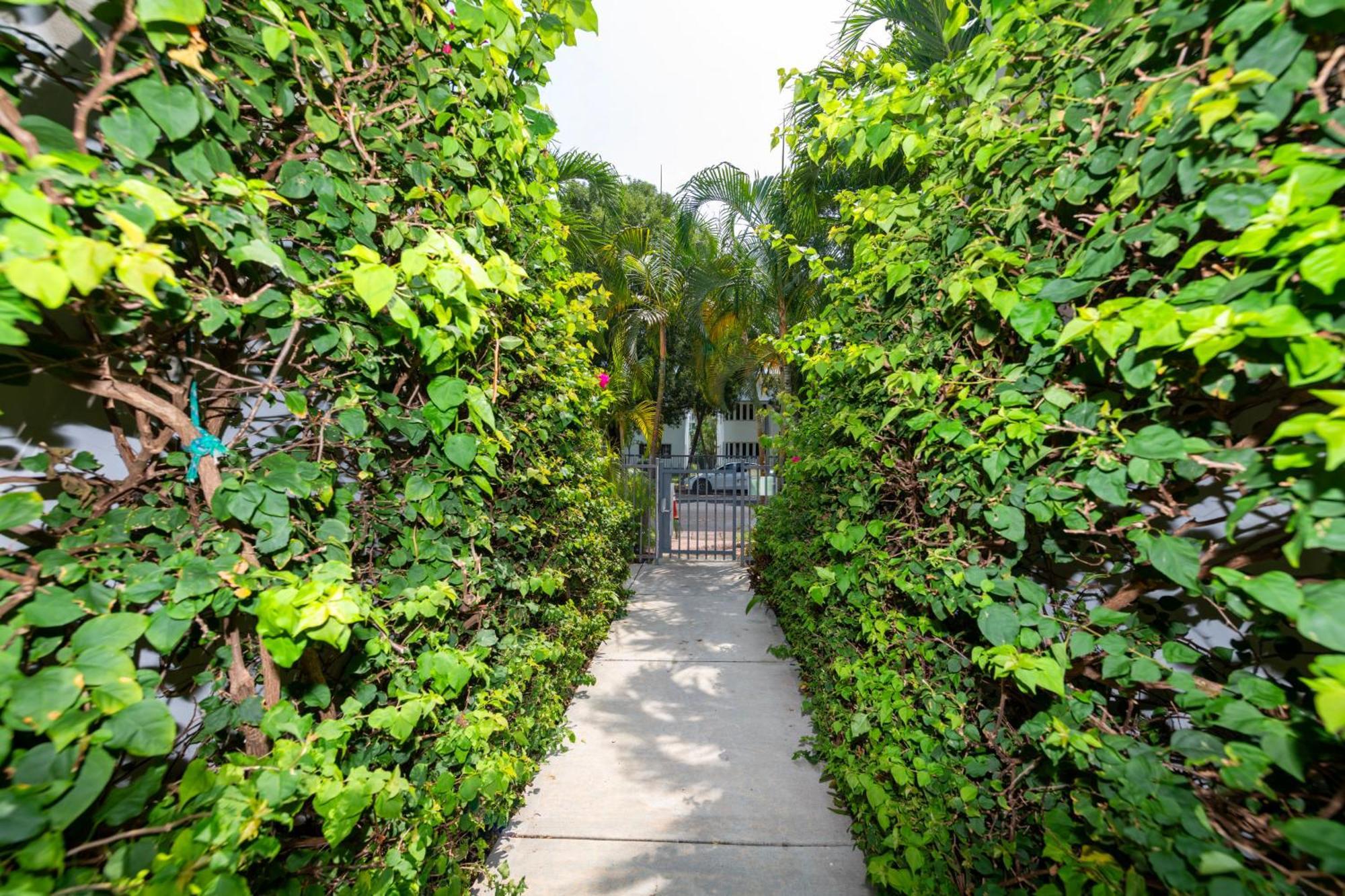 Sunny Days Apartments Miami Beach Kültér fotó